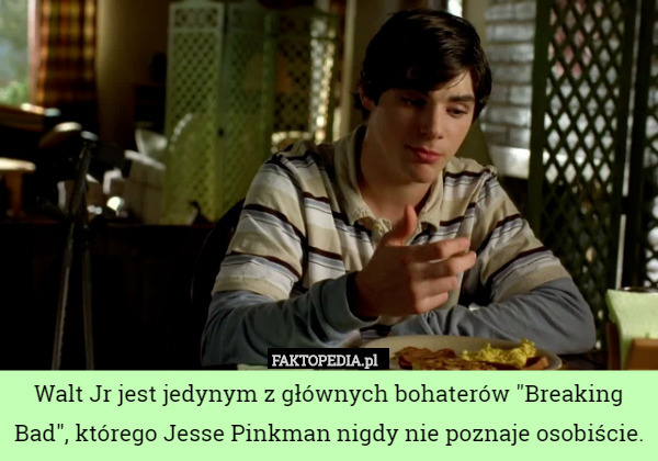 Walt Jr jest jedynym z głównych bohaterów "Breaking Bad", którego Jesse Pinkman nigdy nie poznaje osobiście. 