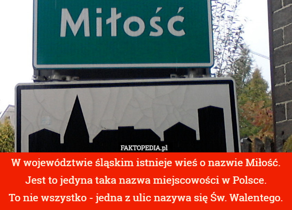 W województwie śląskim istnieje wieś o nazwie Miłość.
 Jest to jedyna taka nazwa miejscowości w Polsce.
 To nie wszystko - jedna z ulic nazywa się Św. Walentego. 