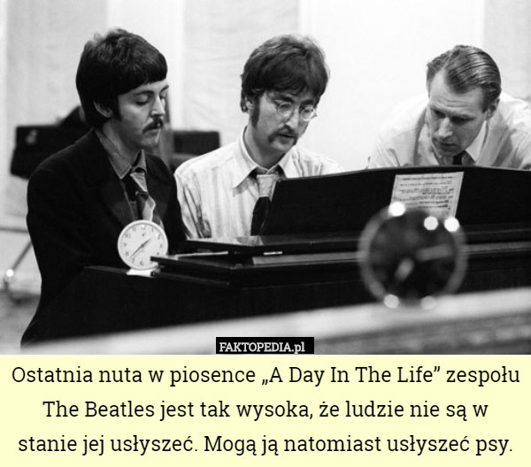 Ostatnia nuta w piosence „A Day In The Life” zespołu The Beatles jest tak wysoka, że ludzie nie są w stanie jej usłyszeć. Mogą ją natomiast usłyszeć psy. 