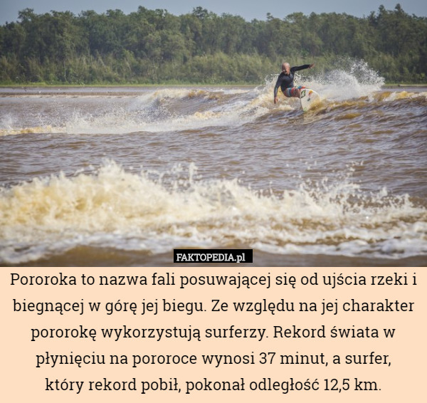 Pororoka to nazwa fali posuwającej się od ujścia rzeki i biegnącej w górę jej biegu. Ze względu na jej charakter pororokę wykorzystują surferzy. Rekord świata w płynięciu na pororoce wynosi 37 minut, a surfer,
 który rekord pobił, pokonał odległość 12,5 km. 