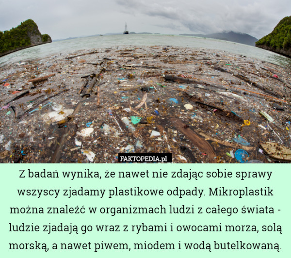 Z badań wynika, że nawet nie zdając sobie sprawy wszyscy zjadamy plastikowe odpady. Mikroplastik można znaleźć w organizmach ludzi z całego świata - ludzie zjadają go wraz z rybami i owocami morza, solą morską, a nawet piwem, miodem i wodą butelkowaną. 