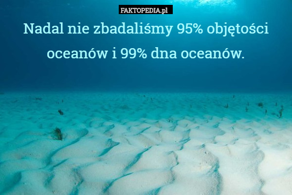 Nadal nie zbadaliśmy 95% objętości oceanów i 99% dna oceanów. 
