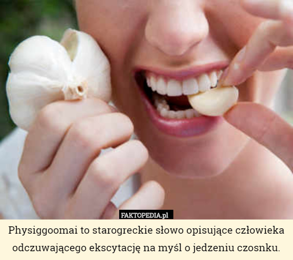 Physiggoomai to starogreckie słowo opisujące człowieka odczuwającego ekscytację na myśl o jedzeniu czosnku. 