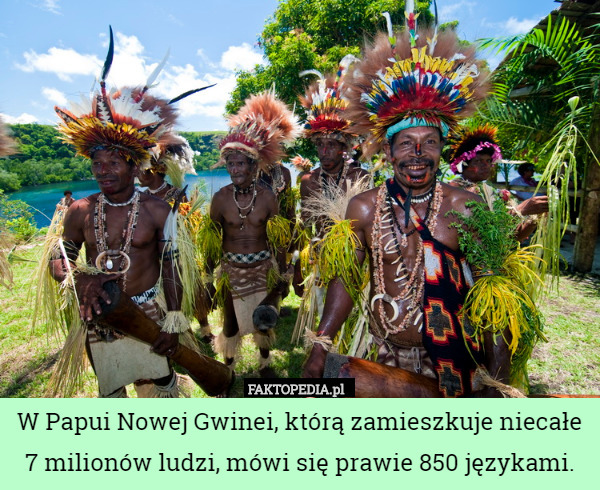 W Papui Nowej Gwinei, którą zamieszkuje niecałe 7 milionów ludzi, mówi się prawie 850 językami. 