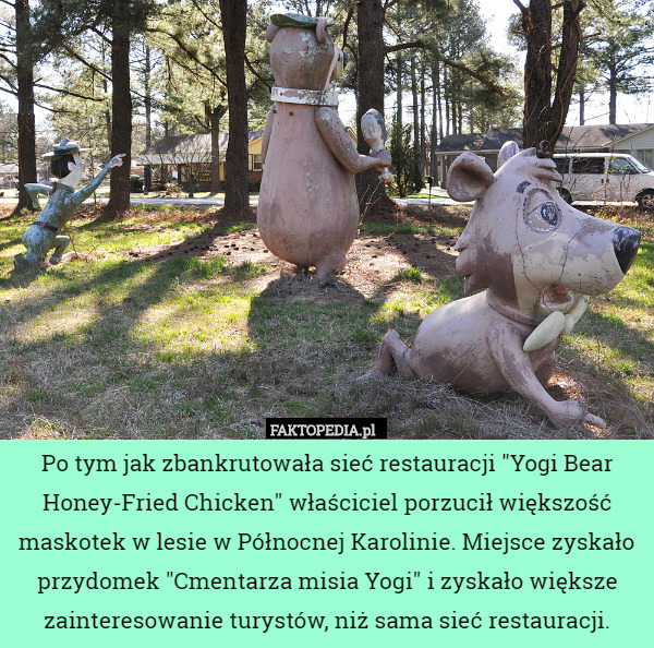 Po tym jak zbankrutowała sieć restauracji "Yogi Bear Honey-Fried Chicken" właściciel porzucił większość maskotek w lesie w Północnej Karolinie. Miejsce zyskało przydomek "Cmentarza misia Yogi" i zyskało większe zainteresowanie turystów, niż sama sieć restauracji. 