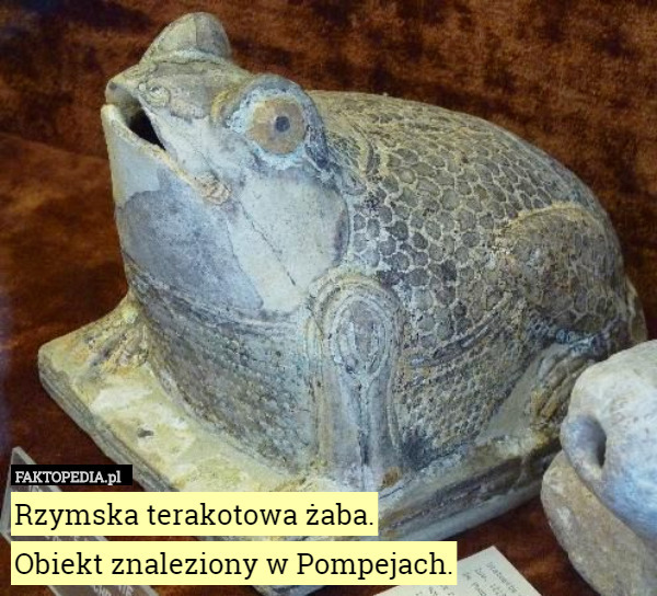 Rzymska terakotowa żaba.
 Obiekt znaleziony w Pompejach. 
