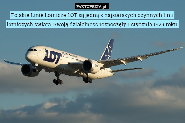 Polskie Linie Lotnicze LOT są jedną z najstarszych czynnych linii lotniczych świata. Swoją działalność rozpoczęły 1 stycznia 1929 roku. 