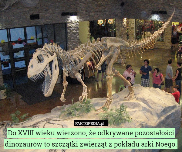 Do XVIII wieku wierzono, że odkrywane pozostałości dinozaurów to szczątki zwierząt z pokładu arki Noego. 