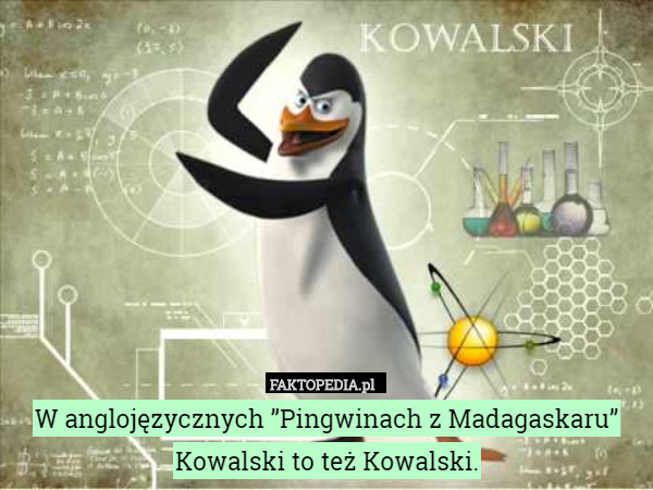 W anglojęzycznych ”Pingwinach z Madagaskaru” Kowalski to też Kowalski. 