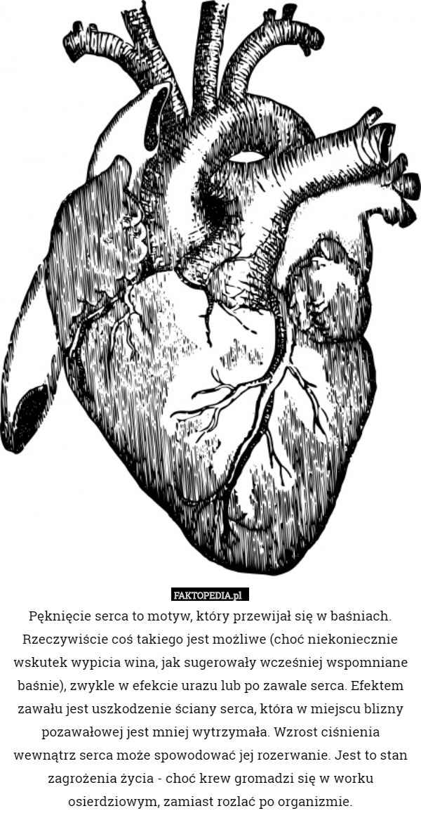 Pęknięcie serca to motyw, który przewijał się w baśniach. Rzeczywiście coś takiego jest możliwe (choć niekoniecznie wskutek wypicia wina, jak sugerowały wcześniej wspomniane baśnie), zwykle w efekcie urazu lub po zawale serca. Efektem zawału jest uszkodzenie ściany serca, która w miejscu blizny pozawałowej jest mniej wytrzymała. Wzrost ciśnienia wewnątrz serca może spowodować jej rozerwanie. Jest to stan zagrożenia życia - choć krew gromadzi się w worku osierdziowym, zamiast rozlać po organizmie. 