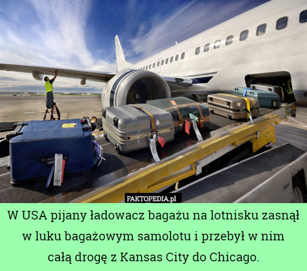 W USA pijany ładowacz bagażu na lotnisku zasnął w luku bagażowym samolotu i przebył w nim
 całą drogę z Kansas City do Chicago. 
