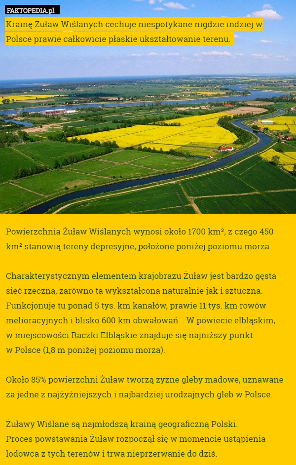 Krainę Żuław Wiślanych cechuje niespotykane nigdzie indziej w Polsce prawie całkowicie płaskie ukształtowanie terenu. 












Powierzchnia Żuław Wiślanych wynosi około 1700 km², z czego 450 km² stanowią tereny depresyjne, położone poniżej poziomu morza.

Charakterystycznym elementem krajobrazu Żuław jest bardzo gęsta sieć rzeczna, zarówno ta wykształcona naturalnie jak i sztuczna. Funkcjonuje tu ponad 5 tys. km kanałów, prawie 11 tys. km rowów melioracyjnych i blisko 600 km obwałowań. . W powiecie elbląskim,
 w miejscowości Raczki Elbląskie znajduje się najniższy punkt
 w Polsce (1,8 m poniżej poziomu morza).

Około 85% powierzchni Żuław tworzą żyzne gleby madowe, uznawane za jedne z najżyźniejszych i najbardziej urodzajnych gleb w Polsce.

Żuławy Wiślane są najmłodszą krainą geograficzną Polski. 
Proces powstawania Żuław rozpoczął się w momencie ustąpienia lodowca z tych terenów i trwa nieprzerwanie do dziś. 
