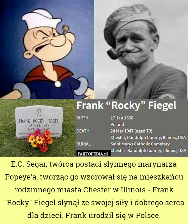 E.C. Segar, twórca postaci słynnego marynarza Popeye'a, tworząc go wzorował się na mieszkańcu rodzinnego miasta Chester w Illinois - Frank "Rocky" Fiegel słynął ze swojej siły i dobrego serca dla dzieci. Frank urodził się w Polsce. 