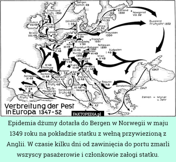 Epidemia dżumy dotarła do Bergen w Norwegii w maju 1349 roku na pokładzie statku z wełną przywiezioną z Anglii. W czasie kilku dni od zawinięcia do portu zmarli wszyscy pasażerowie i członkowie załogi statku. 