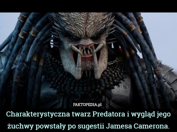 Charakterystyczna twarz Predatora i wygląd jego żuchwy powstały po sugestii Jamesa Camerona. 