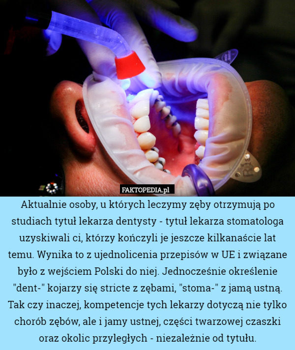 Aktualnie osoby, u których leczymy zęby otrzymują po studiach tytuł lekarza dentysty - tytuł lekarza stomatologa uzyskiwali ci, którzy kończyli je jeszcze kilkanaście lat temu. Wynika to z ujednolicenia przepisów w UE i związane było z wejściem Polski do niej. Jednocześnie określenie "dent-" kojarzy się stricte z zębami, "stoma-" z jamą ustną. Tak czy inaczej, kompetencje tych lekarzy dotyczą nie tylko chorób zębów, ale i jamy ustnej, części twarzowej czaszki oraz okolic przyległych - niezależnie od tytułu. 