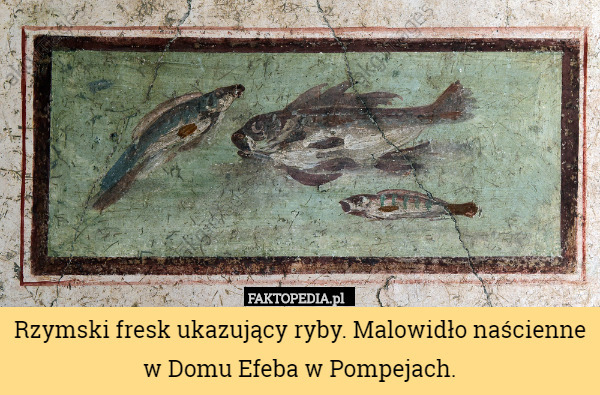 Rzymski fresk ukazujący ryby. Malowidło naścienne w Domu Efeba w Pompejach. 