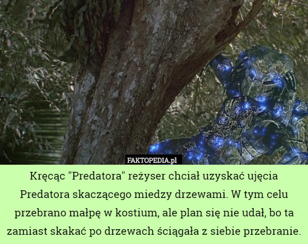 Kręcąc "Predatora" reżyser chciał uzyskać ujęcia Predatora skaczącego miedzy drzewami. W tym celu przebrano małpę w kostium, ale plan się nie udał, bo ta zamiast skakać po drzewach ściągała z siebie przebranie. 