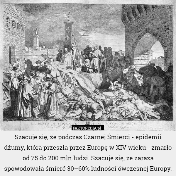 Szacuje się, że podczas Czarnej Śmierci - epidemii dżumy, która przeszła przez Europę w XIV wieku - zmarło od 75 do 200 mln ludzi. Szacuje się, że zaraza spowodowała śmierć 30–60% ludności ówczesnej Europy. 