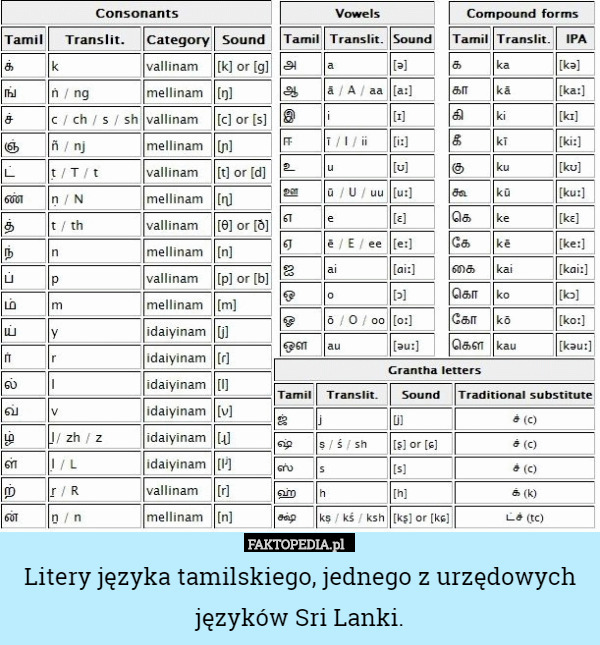 Litery języka tamilskiego, jednego z urzędowych języków Sri Lanki. 