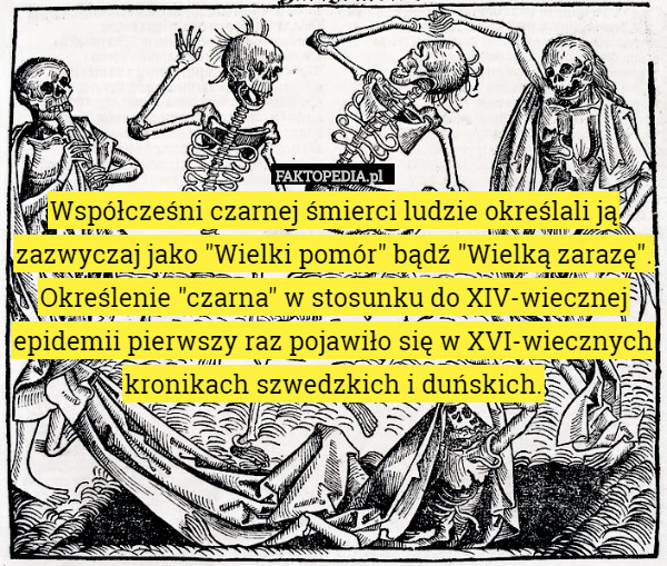Współcześni czarnej śmierci ludzie określali ją zazwyczaj jako "Wielki pomór" bądź "Wielką zarazę". Określenie "czarna" w stosunku do XIV-wiecznej epidemii pierwszy raz pojawiło się w XVI-wiecznych kronikach szwedzkich i duńskich. 