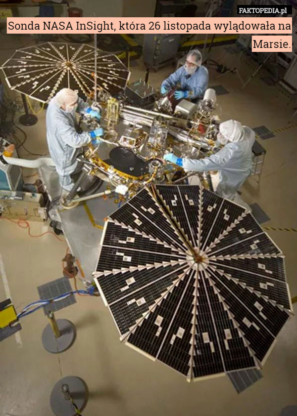 Sonda NASA InSight, która 26 listopada wylądowała na Marsie. 