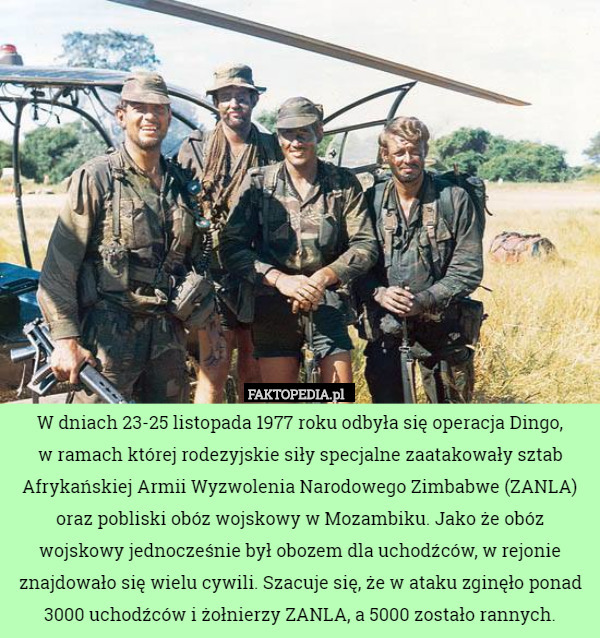 W dniach 23-25 listopada 1977 roku odbyła się operacja Dingo,
 w ramach której rodezyjskie siły specjalne zaatakowały sztab Afrykańskiej Armii Wyzwolenia Narodowego Zimbabwe (ZANLA) oraz pobliski obóz wojskowy w Mozambiku. Jako że obóz wojskowy jednocześnie był obozem dla uchodźców, w rejonie znajdowało się wielu cywili. Szacuje się, że w ataku zginęło ponad 3000 uchodźców i żołnierzy ZANLA, a 5000 zostało rannych. 