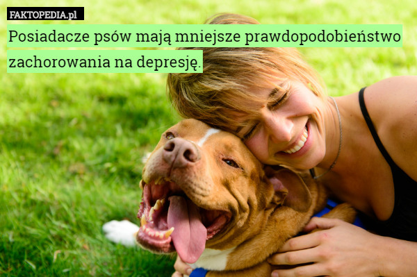 Posiadacze psów mają mniejsze prawdopodobieństwo zachorowania na depresję. 