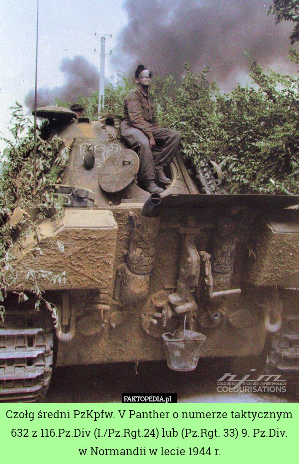 Czołg średni PzKpfw. V Panther o numerze taktycznym 632 z 116.Pz.Div (I./Pz.Rgt.24) lub (Pz.Rgt. 33) 9. Pz.Div. w Normandii w lecie 1944 r. 
