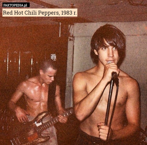 Red Hot Chili Peppers, 1983 r. 