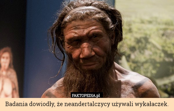 Badania dowiodły, że neandertalczycy używali wykałaczek. 