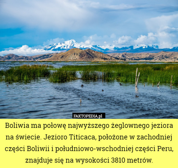 Boliwia ma połowę najwyższego żeglownego jeziora na świecie. Jezioro Titicaca, położone w zachodniej części Boliwii i południowo-wschodniej części Peru, znajduje się na wysokości 3810 metrów. 
