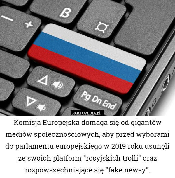 Komisja Europejska domaga się od gigantów mediów społecznościowych, aby przed wyborami do parlamentu europejskiego w 2019 roku usunęli ze swoich platform "rosyjskich trolli" oraz rozpowszechniające się "fake newsy". 