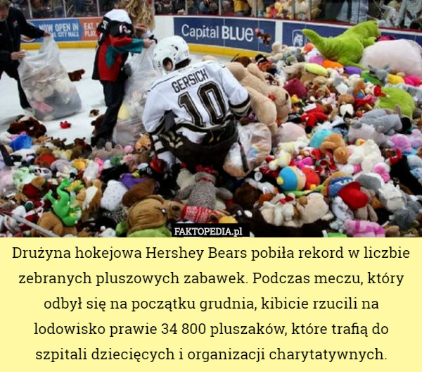 Drużyna hokejowa Hershey Bears pobiła rekord w liczbie zebranych pluszowych zabawek. Podczas meczu, który odbył się na początku grudnia, kibicie rzucili na lodowisko prawie 34 800 pluszaków, które trafią do szpitali dziecięcych i organizacji charytatywnych. 