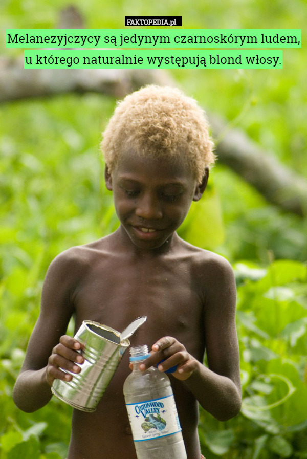 Melanezyjczycy są jedynym czarnoskórym ludem, u którego naturalnie występują blond włosy. 