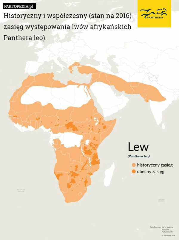 Historyczny i współczesny (stan na 2016)
 zasięg występowania lwów afrykańskich 
 Panthera leo). 