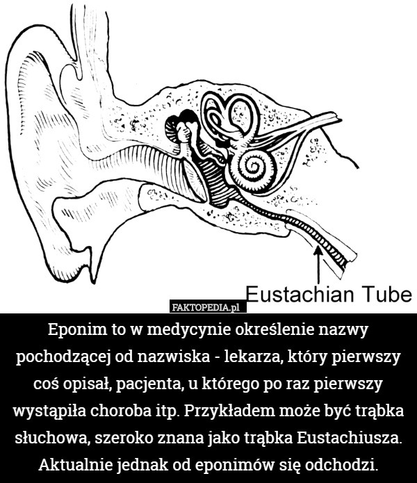 Eponim to w medycynie określenie nazwy pochodzącej od nazwiska - lekarza, który pierwszy coś opisał, pacjenta, u którego po raz pierwszy wystąpiła choroba itp. Przykładem może być trąbka słuchowa, szeroko znana jako trąbka Eustachiusza. Aktualnie jednak od eponimów się odchodzi. 