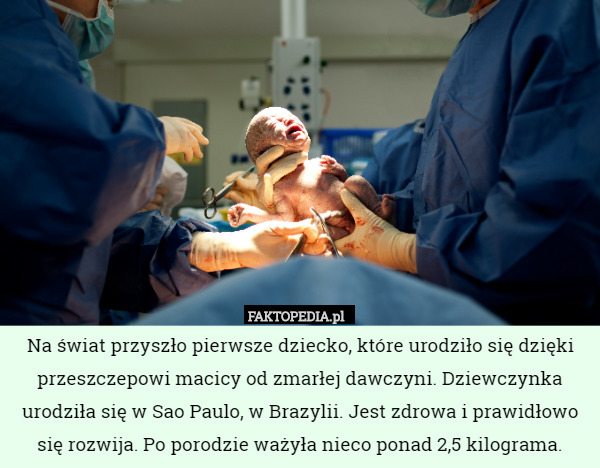 Na świat przyszło pierwsze dziecko, które urodziło się dzięki przeszczepowi macicy od zmarłej dawczyni. Dziewczynka urodziła się w Sao Paulo, w Brazylii. Jest zdrowa i prawidłowo się rozwija. Po porodzie ważyła nieco ponad 2,5 kilograma. 