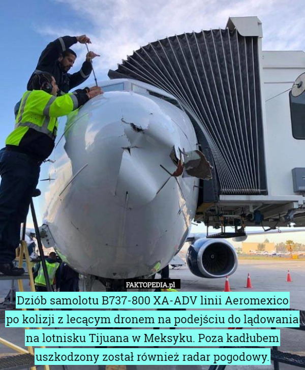 Dziób samolotu B737-800 XA-ADV linii Aeromexico
 po kolizji z lecącym dronem na podejściu do lądowania na lotnisku Tijuana w Meksyku. Poza kadłubem uszkodzony został również radar pogodowy. 