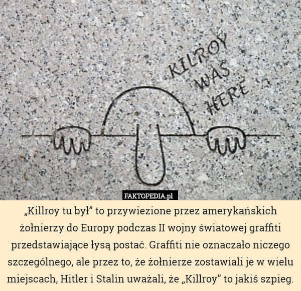 „Killroy tu był” to przywiezione przez amerykańskich żołnierzy do Europy podczas II wojny światowej graffiti przedstawiające łysą postać. Graffiti nie oznaczało niczego szczególnego, ale przez to, że żołnierze zostawiali je w wielu miejscach, Hitler i Stalin uważali, że „Killroy” to jakiś szpieg. 