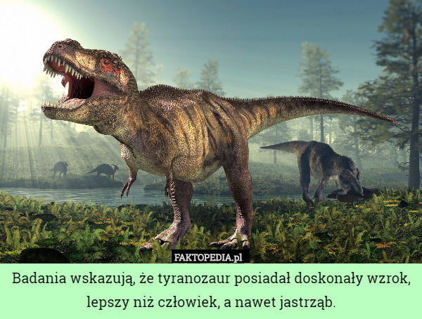 Badania wskazują, że tyranozaur posiadał doskonały wzrok, lepszy niż człowiek, a nawet jastrząb. 
