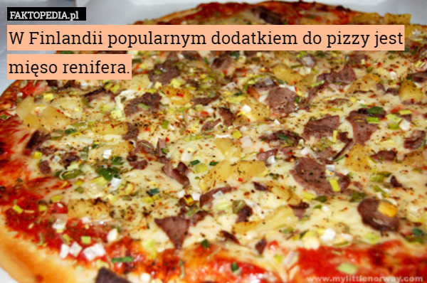 W Finlandii popularnym dodatkiem do pizzy jest mięso renifera. 