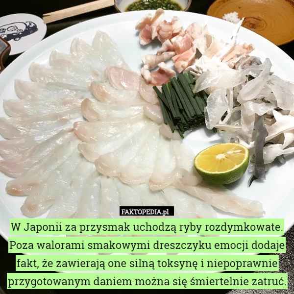 W Japonii za przysmak uchodzą ryby rozdymkowate. Poza walorami smakowymi dreszczyku emocji dodaje fakt, że zawierają one silną toksynę i niepoprawnie przygotowanym daniem można się śmiertelnie zatruć. 