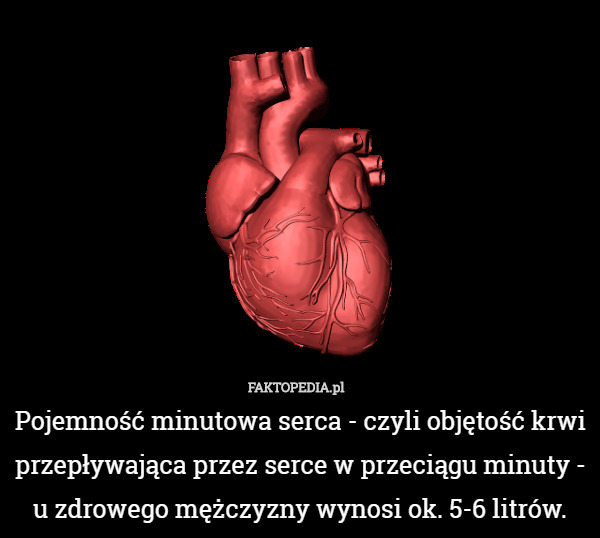 Pojemność minutowa serca - czyli objętość krwi przepływająca przez serce w przeciągu minuty - u zdrowego mężczyzny wynosi ok. 5-6 litrów. 