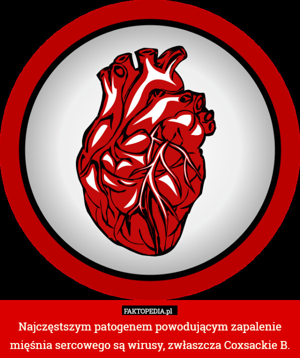 Najczęstszym patogenem powodującym zapalenie mięśnia sercowego są wirusy, zwłaszcza Coxsackie B. 