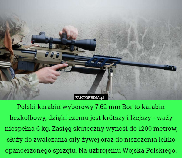 Polski karabin wyborowy 7,62 mm Bor to karabin bezkolbowy, dzięki czemu jest krótszy i lżejszy - waży niespełna 6 kg. Zasięg skuteczny wynosi do 1200 metrów, służy do zwalczania siły żywej oraz do niszczenia lekko opancerzonego sprzętu. Na uzbrojeniu Wojska Polskiego. 