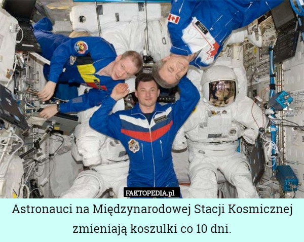 Astronauci na Międzynarodowej Stacji Kosmicznej zmieniają koszulki co 10 dni. 