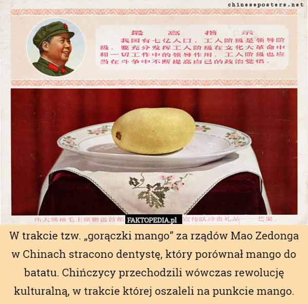 W trakcie tzw. „gorączki mango” za rządów Mao Zedonga w Chinach stracono dentystę, który porównał mango do batatu. Chińczycy przechodzili wówczas rewolucję kulturalną, w trakcie której oszaleli na punkcie mango. 