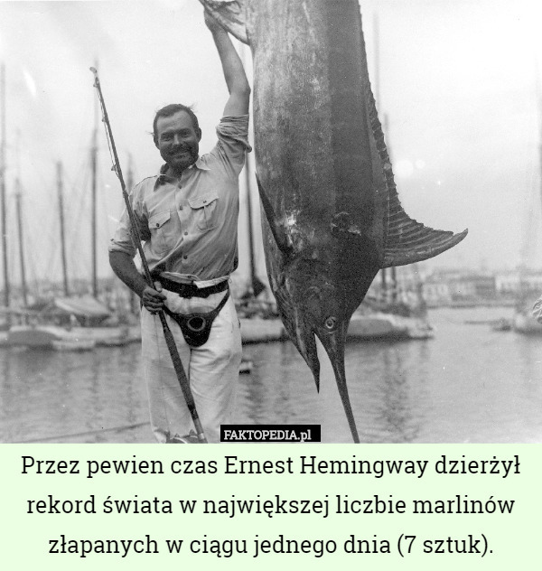 Przez pewien czas Ernest Hemingway dzierżył rekord świata w największej liczbie marlinów złapanych w ciągu jednego dnia (7 sztuk). 