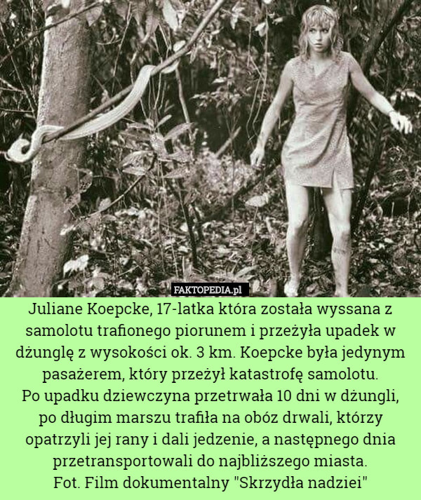 Juliane Koepcke, 17-latka która została wyssana z samolotu trafionego piorunem i przeżyła upadek w dżunglę z wysokości ok. 3 km. Koepcke była jedynym pasażerem, który przeżył katastrofę samolotu.
 Po upadku dziewczyna przetrwała 10 dni w dżungli,
 po długim marszu trafiła na obóz drwali, którzy opatrzyli jej rany i dali jedzenie, a następnego dnia przetransportowali do najbliższego miasta.
Fot. Film dokumentalny "Skrzydła nadziei" 